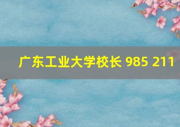 广东工业大学校长 985 211